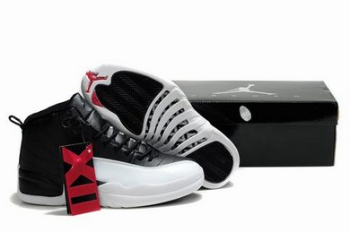 Air Jordan XII (12) Retro-41