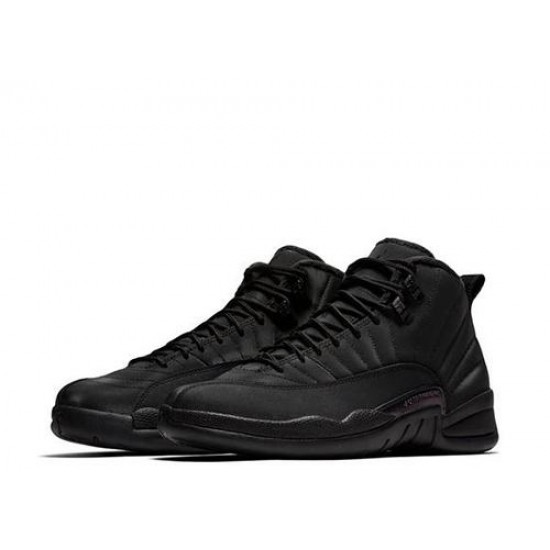 Air Jordan 12 Retro Winterized