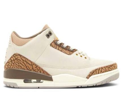 Air Jordan 3 Retro Palomino 