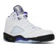 Air Jordan 5 Retro Concord