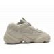 Yeezy Boost 500 Blush